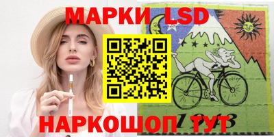 шишки Можга