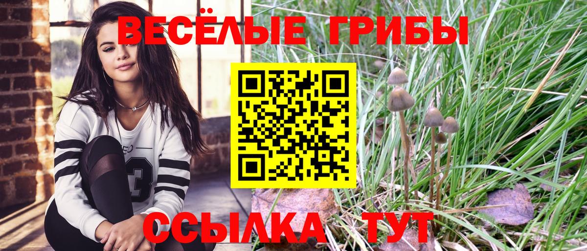 Галлюциногенные грибы ЛСД Пятигорск