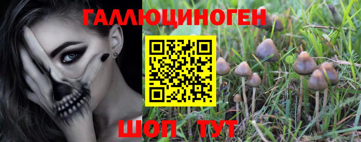 Галлюциногенные грибы прущие грибы  Псилоцибиновые грибы мицелий  Вход с VPN  Пятигорск 